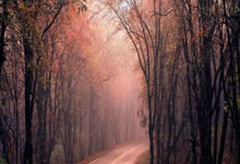 天涯社区怎么找：一步步教你轻松加入这个热门平台！